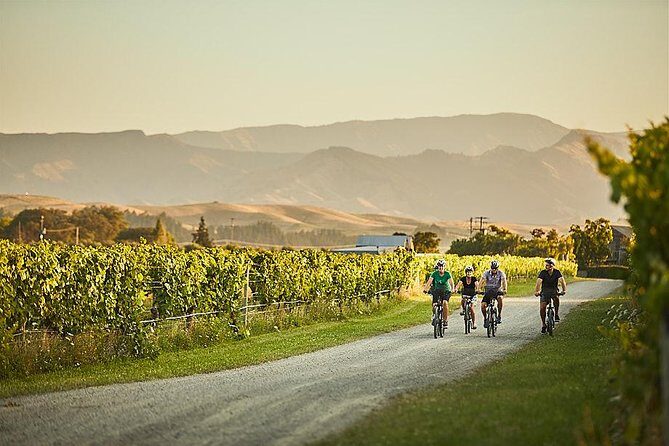 Morning Guided with Afternoon Self-Guided Biking Wine Tour - Who Is This Tour Best For?