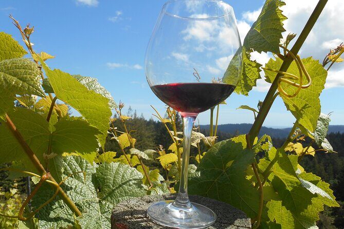 Morning Half Day Carmel Valley Wine Tasting Tour - An In-Depth Look at the Tour Experience