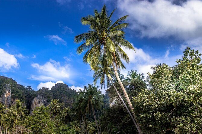 Morning Hike and Sunrise in Krabi with your English-speaking guide - What Reviewers Say and Extra Insights