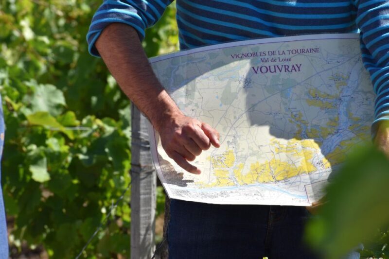 Morning - Loire Valley Wine Tour & Food Pairing, Vouvray - A Deep Dive into the Experience