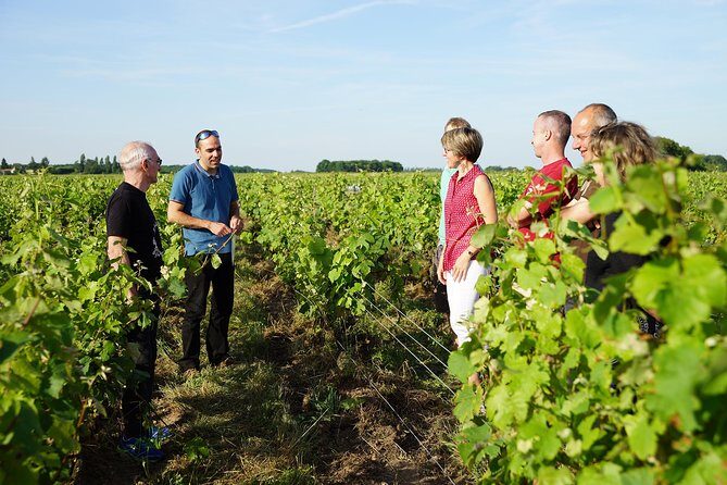Morning - Loire Valley Wine Tour & Food Pairing, Vouvray - Why This Tour Works Well