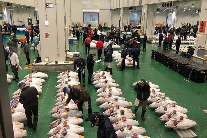 Morning Market Adventure: Toyosu & Tsukiji with Tuna Auction - Exploring Tokyo’s Fish Markets: Toyosu & Tsukiji with Tuna Auction