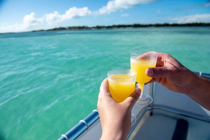 Morning Mimosa and Swim 2hr Luxury Cruise in Marathon FL - Key Points