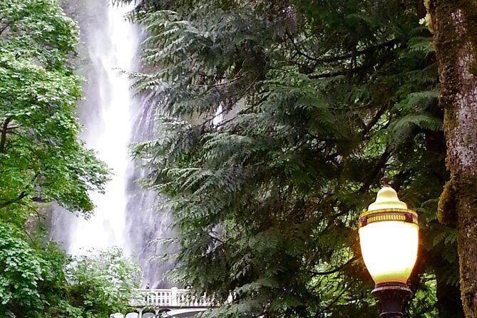 Morning Multnomah Falls and Gorge Waterfalls Tour - A Deep Dive into the Experience