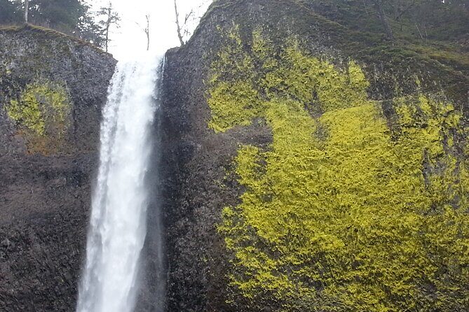 Morning Multnomah Falls and Gorge Waterfalls Tour - FAQs