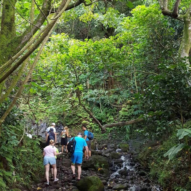 Morning or Afternoon Palehua Ridge Hike - Introduction