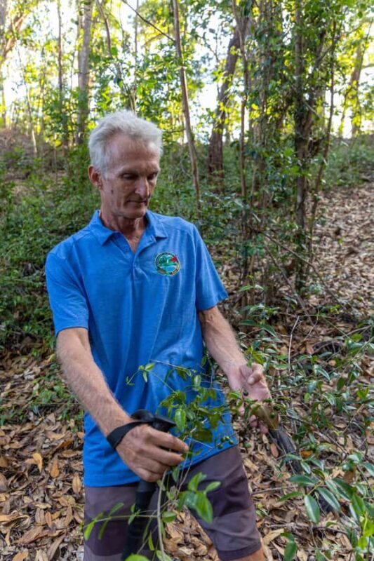 Morning or Afternoon Palehua Ridge Hike - Key Points
