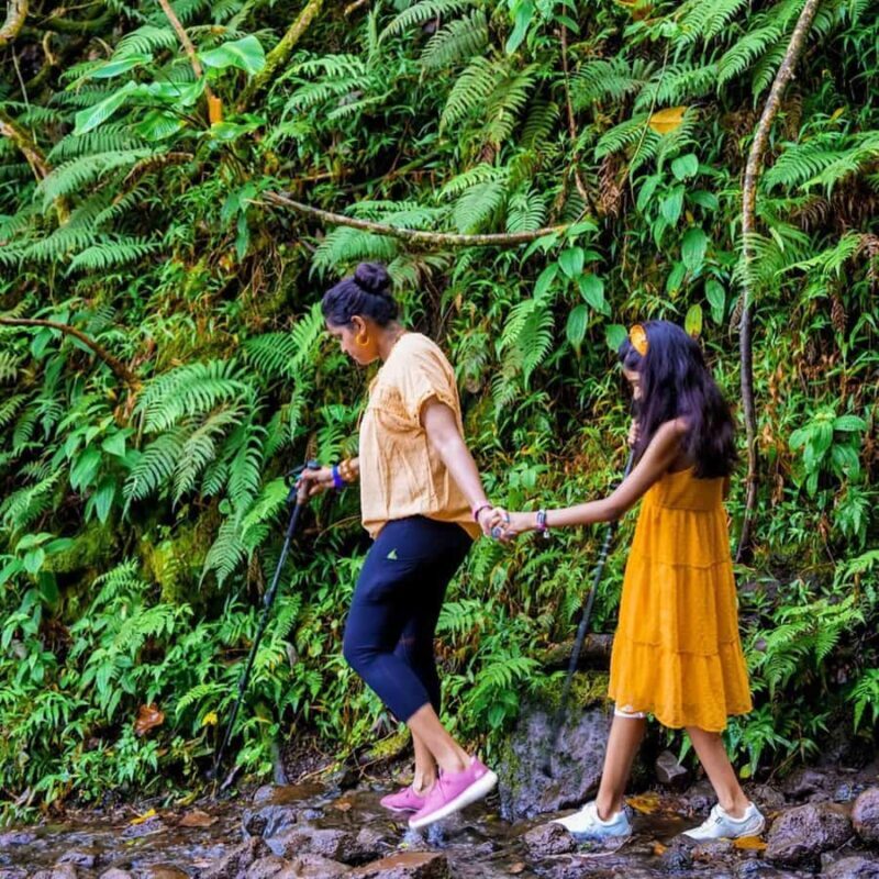 Morning or Afternoon Palehua Ridge Hike - Scenic Highlights and Views