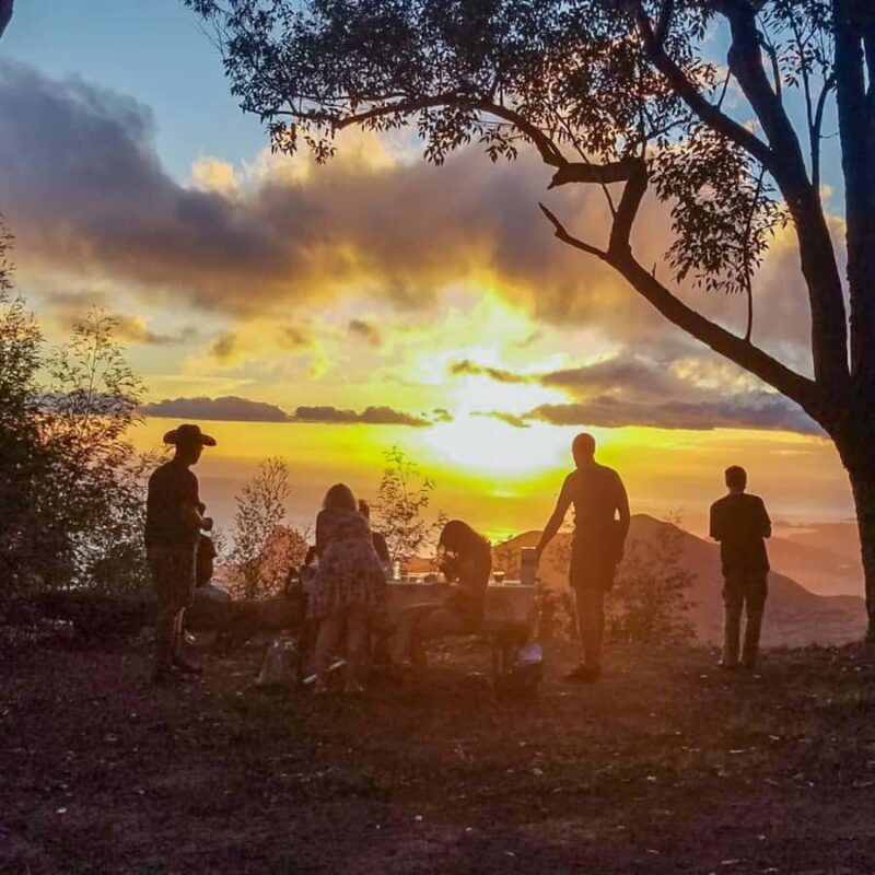 Morning or Afternoon Palehua Ridge Hike - Practical Details and Value