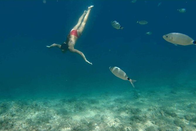 Morning panorama & swimming with a fishes - Frequently Asked Questions