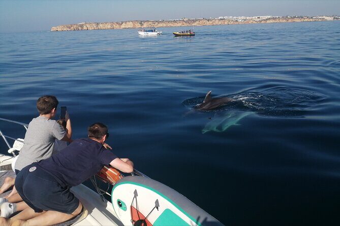 Morning private charter with drinks tapas, paddle boards &kayak - Arriving at Lagos’s Marina: Starting the Journey