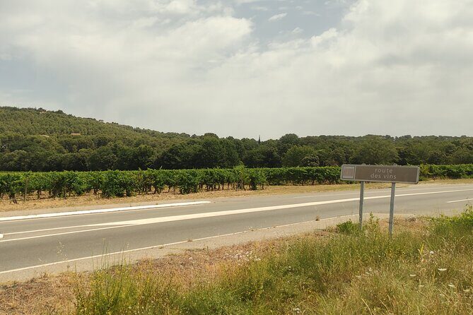 Morning Provençal Market & Food Discovery Tour - The Sum Up