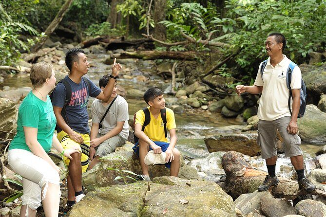 Morning Rainforest Walking from Langkawi - Key Points