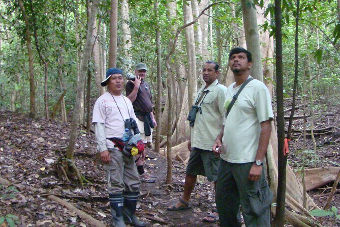 Morning Rainforest Walking from Langkawi - An In-Depth Look at the Rainforest Walk Experience
