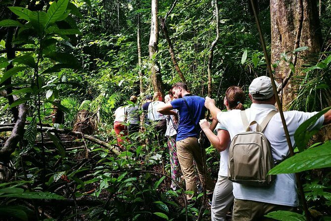 Morning Rainforest Walking from Langkawi - The Sum Up: Is this Tour Right for You?