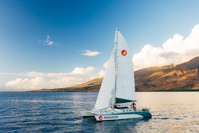 Morning Sail With the Whales Ma'alaea - Introducing the Morning Sail With the Whales in Maui