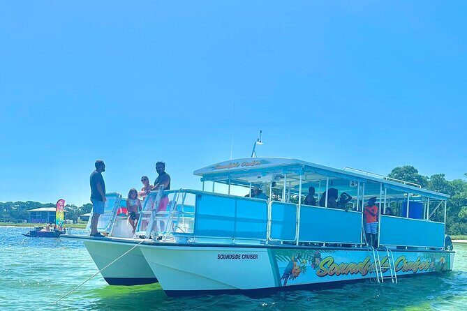 Morning Snorkel & Dolphin Adventure - Key Points
