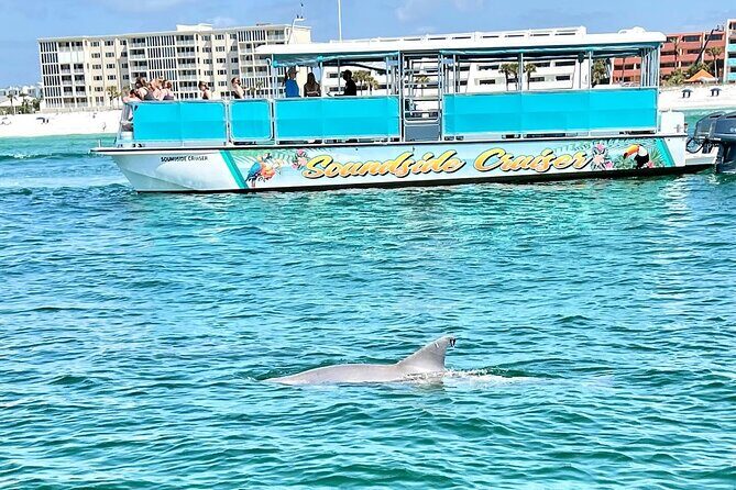 Morning Snorkel & Dolphin Adventure - Final Thoughts