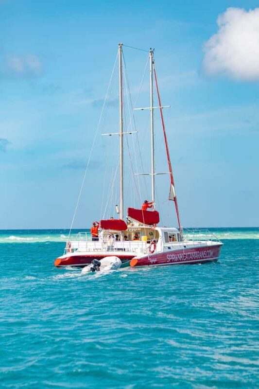 Morning Snorkeling or Sunset Sail to Boca Catalina With BBQ - The Sum Up