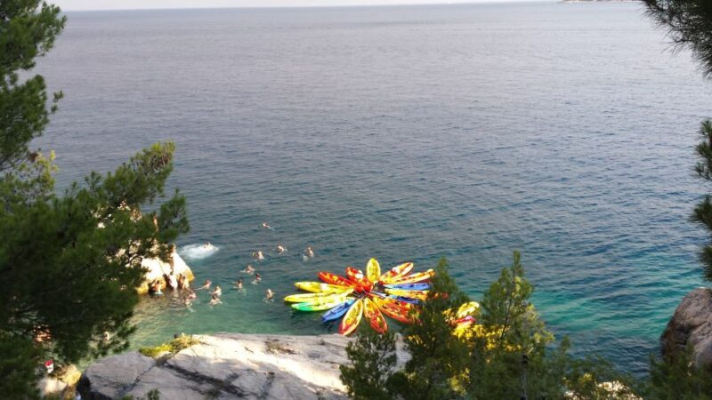 Morning Split Sea Kayaking Tour - Who Will Love This Tour?