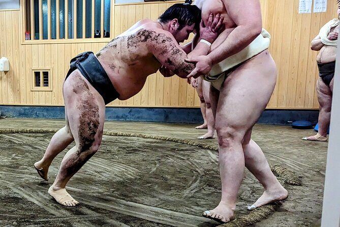 Morning Sumo Practice Viewing in Tokyo - What to Expect from the Itinerary