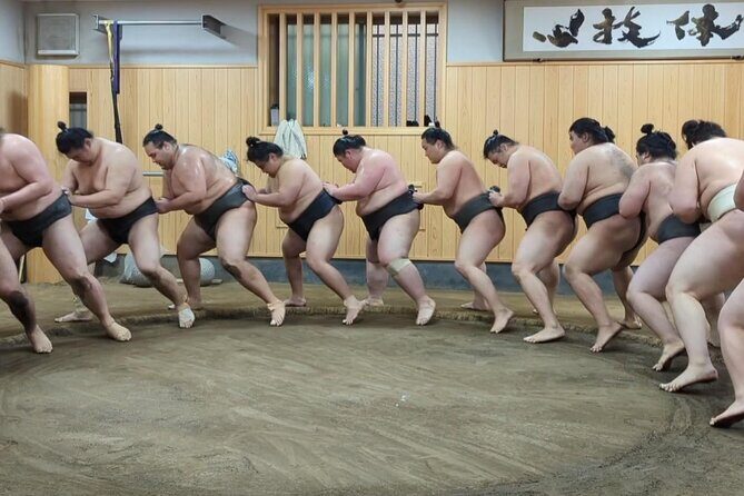 Morning Sumo Practice Viewing in Tokyo - Final Thoughts: Is It Worth It?