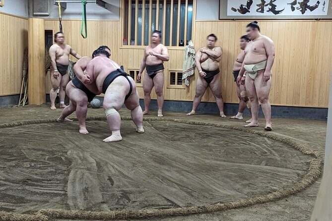 Morning Sumo Practice Viewing in Tokyo - FAQ