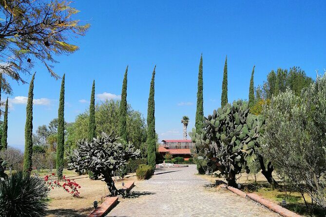 Morning Tour and Olive product tasting - What We Loved About This Tour
