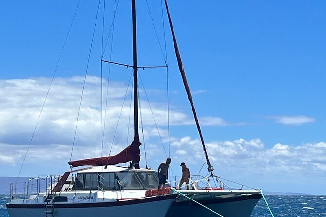 Morning Turtle Town Snorkel at Coral Gardens - FAQs