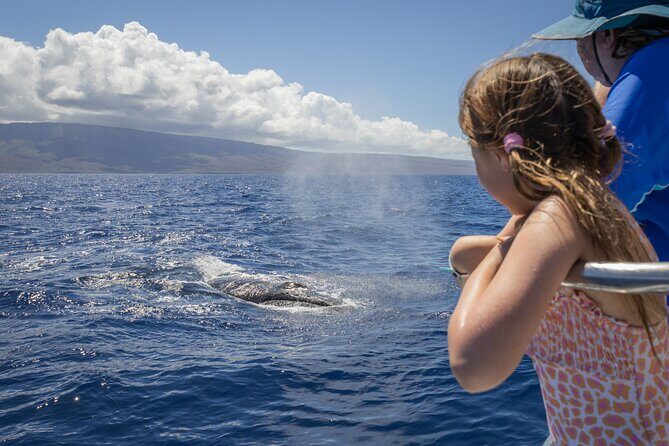 Morning Whale Watching Tour in Maui with Continental Breakfast - An In-Depth Look at the Whale Watching Experience