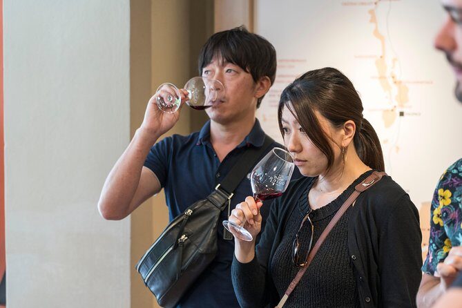 Morning Wine Tour to Chateauneuf du Pape from Avignon - The Practicalities