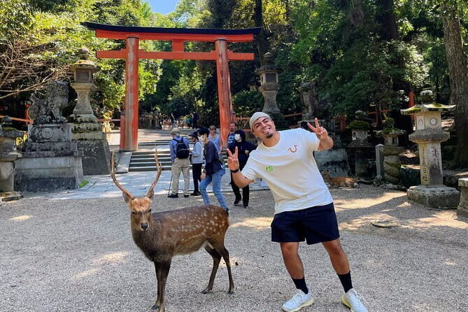 Morning Wonder World Heritage Nara Guided Tour - Key Points