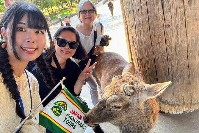 Morning Wonder World Heritage Nara Guided Tour - The Practicalities: What You Need to Know