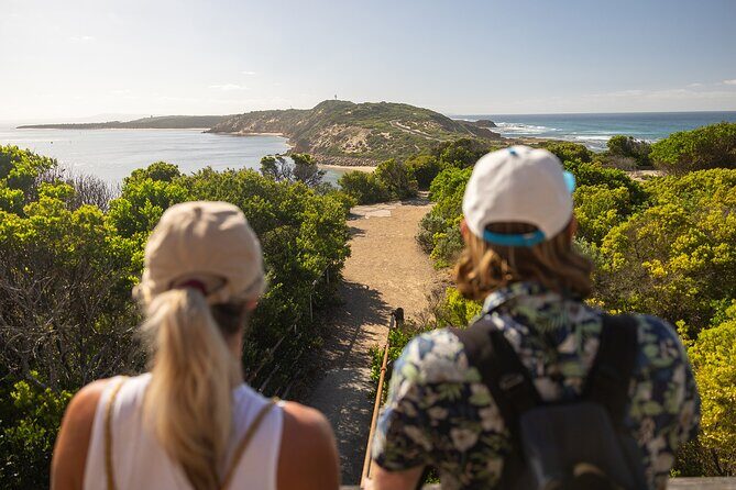 Mornington Peninsula Boutique Wine and Lunch Small Group Tour - Who Will Love This Tour?