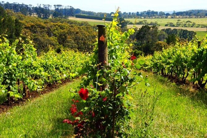 Mornington Peninsula Day Tour. Your Day Your Way. Your group only - FAQ