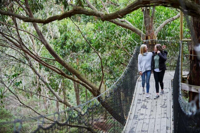 Mornington Peninsula: Enchanted Adventure General Admission - Who Should Visit?