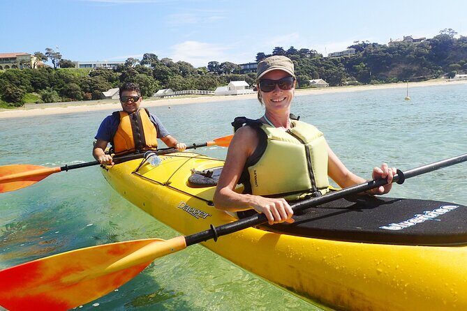 Mornington Peninsula Kayak Coastline Tour of Dolphin Sanctuary - The Itinerary