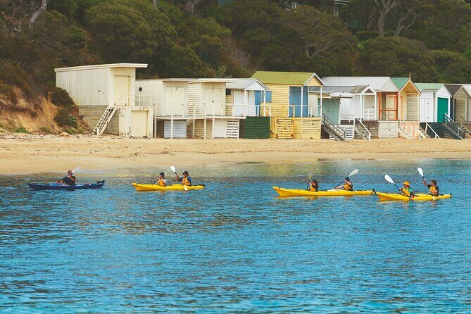 Mornington Peninsula Kayak Coastline Tour of Dolphin Sanctuary - Authentic Experiences and Challenges