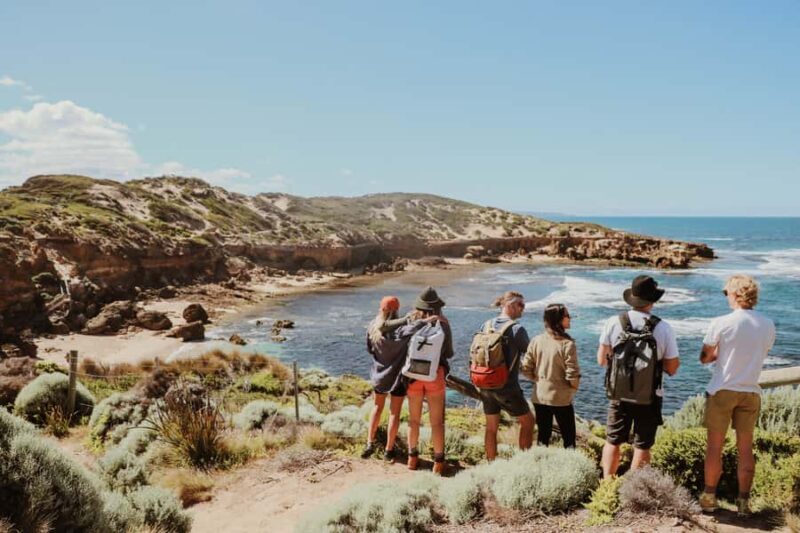 Mornington Peninsula: SUP, Hike, & Hot Springs Trip w/ Lunch - An Introduction to This Mornington Peninsula Tour
