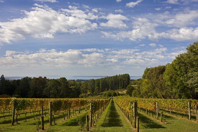 Mornington Peninsula Wine Day Tour - An Overview of the Experience