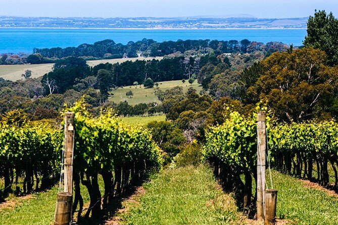 Mornington Peninsula Winery, Beer and Spirits Tour - FAQ