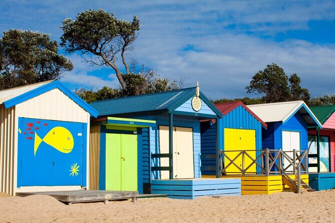 Mornington Peninsula Winery Bus Tour including lunch with a glass of wine - Value for Money and Pricing