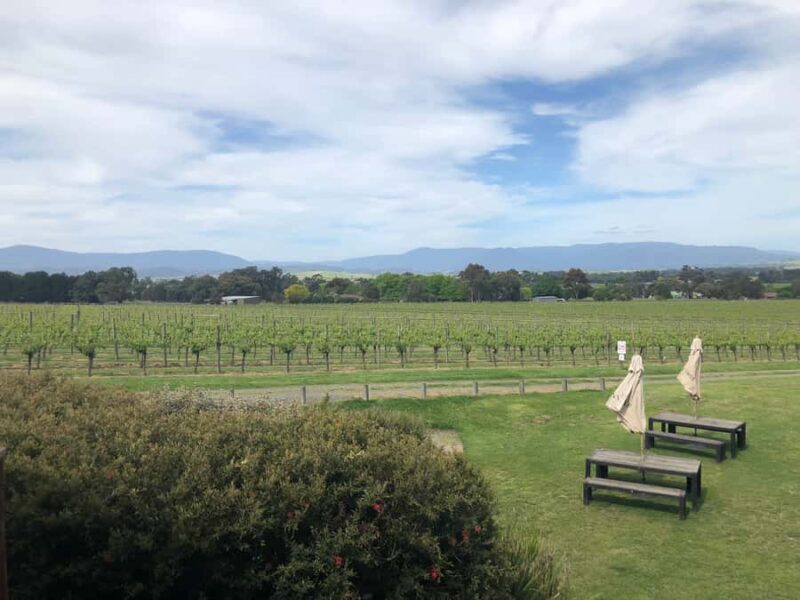 Mornington Peninsula Winery Bus Tour with Lunch & Wine - Who Is This Tour Best For?