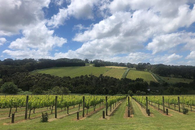 Mornington Peninsula Winery Tour - Lunch Included - FAQ