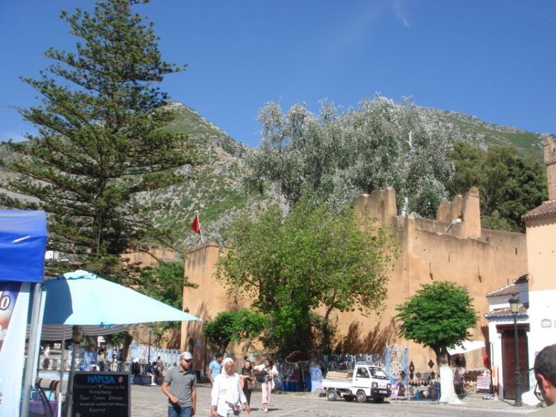 Morocco Day Trip with Tour Guide and Lunch from Algeciras - Markets, Herbalists, and Shopping