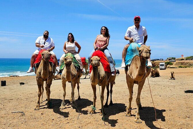 Morocco: Tangier Private Tour from Malaga & Tarifa. All Inclusive - Starting Early: From Malaga or Tarifa