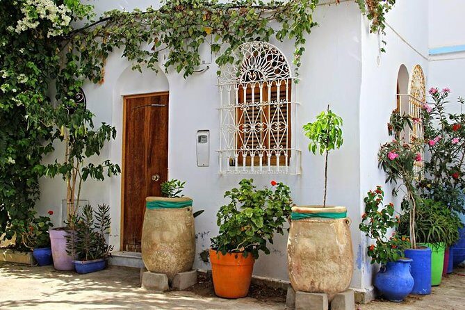 Morocco: Tangier Private Tour from Malaga & Tarifa. All Inclusive - Markets and Local Life