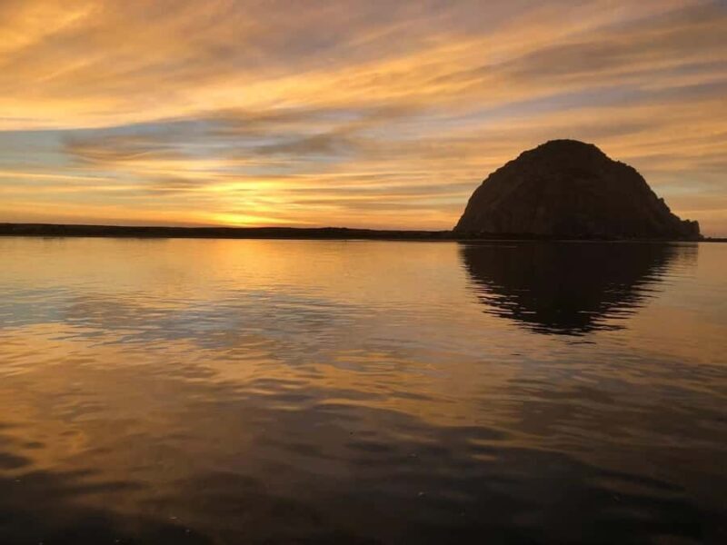 Morro Bay: Pontoon Boat Rental with Wildlife Watching - Who This Tour Is Best For