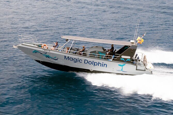Morro Jable: 2 Hours Magic Dolphin & Whale watching with Drinks & Swim Stop. - Key Points