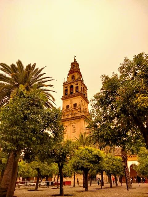 Mosquée Cathédrale tour guidé en petit group en français - Practical Details and Tips